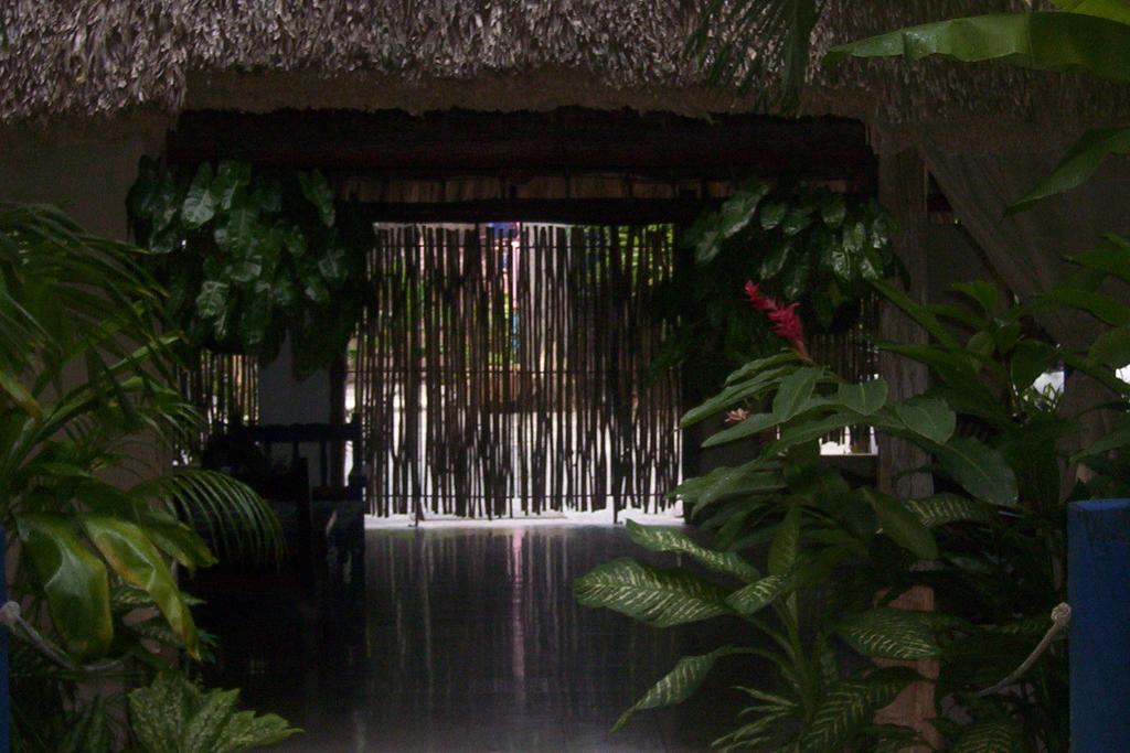Posada El Jardin Тикуль Экстерьер фото
