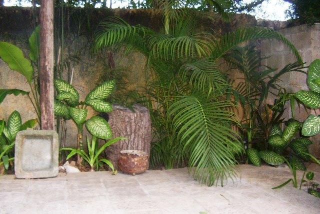 Posada El Jardin Тикуль Экстерьер фото