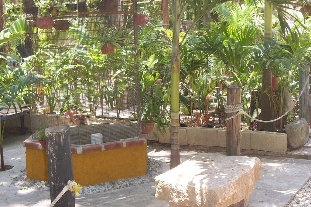 Posada El Jardin Тикуль Экстерьер фото