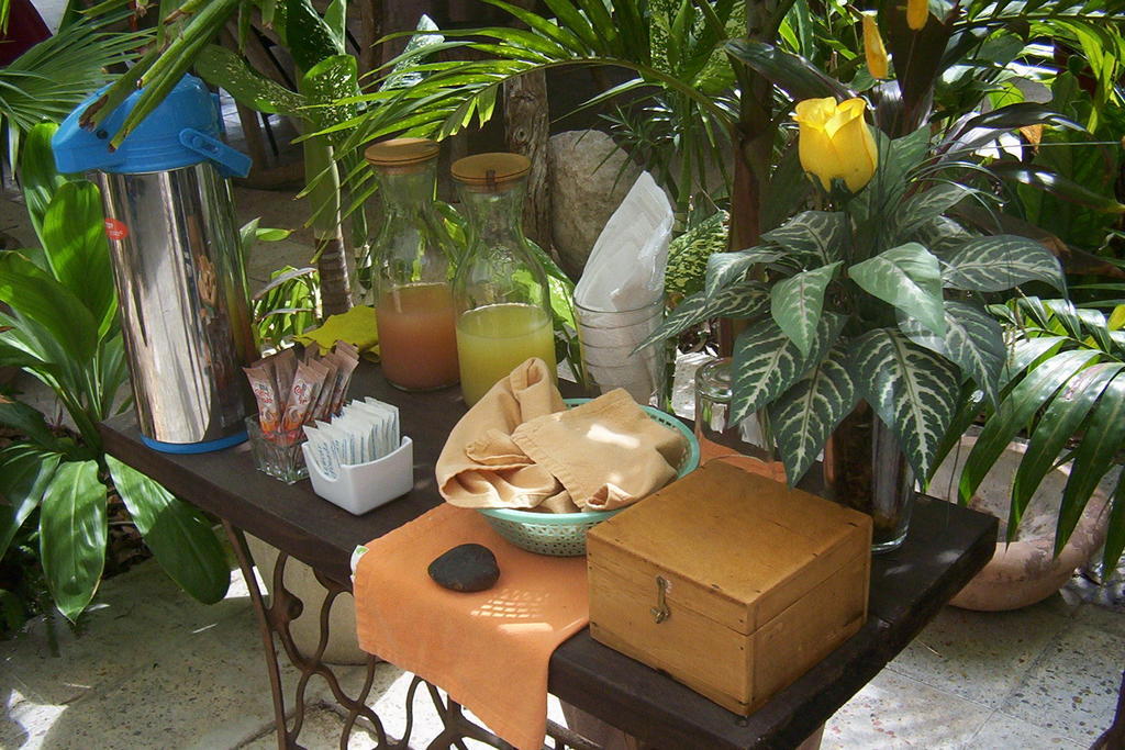 Posada El Jardin Тикуль Экстерьер фото